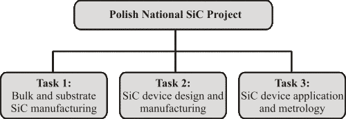 Structure of the Polish National SiC Program