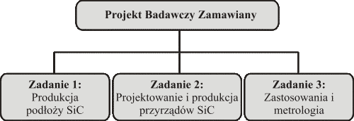Structure of the Polish National SiC Program